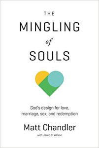 The Mingling of Souls book